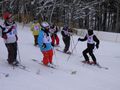 PC201412295