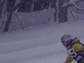PC2015011020