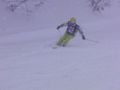 PC2015011060
