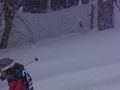 PC2015011193