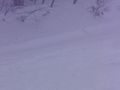 PC2015011339