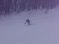 PC2015011491