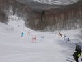 PC2015030596