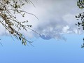 IMG_8728.JPG