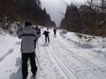 2009Shiminsen073